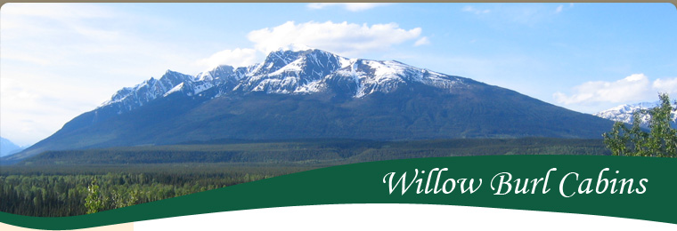 Willow Burl Cabins