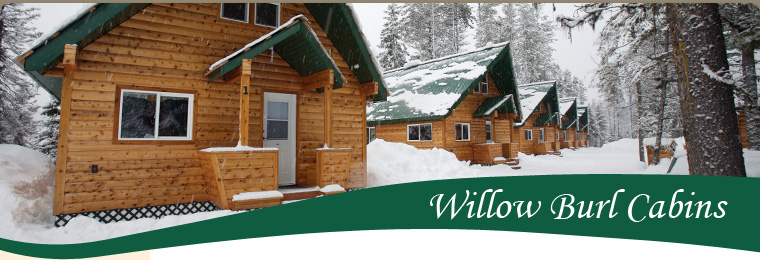 Willow Burl Cabins